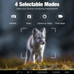 Caméra 4G 4K 36MP pour la html et les Sentiers, Invisible, IR LED, Vis