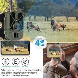 Caméra 4G 4K 36MP pour la html et les Sentiers, Invisible, IR LED, Vis