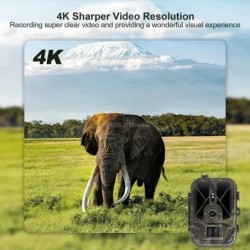 Caméra 4G 4K 36MP pour la html et les Sentiers, Invisible, IR LED, Vis