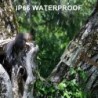 Mini caméra de chasse et de suivi des sentiers, 16mp, 1080P HD, Vision