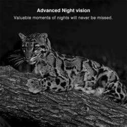 DL006 Mini caméra de chasse 16MP 1080P HD sentier sauvage Vision noctu