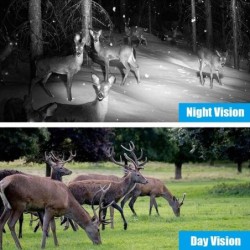 DL006 Mini caméra de chasse 16MP 1080P HD sentier sauvage Vision noctu