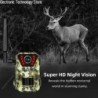 Caméra solaire de chasse et de sentier, 14mp, 4G, étanche, 20M, détect