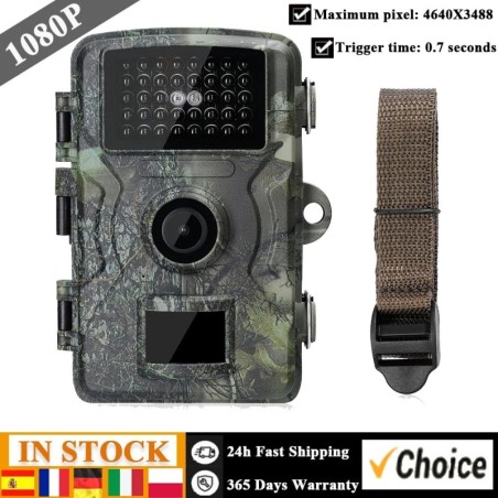 Caméra extérieure 16MP 080P, détection de champ, écran couleur TFT, ut