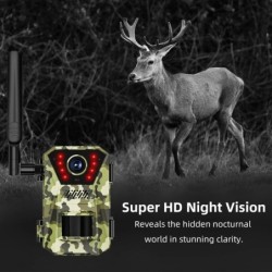 Caméra solaire de chasse et de sentier, 14mp, 4G, étanche, 20M, détect