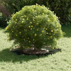 Pot de Fleur en Plastique Vert olive Plastique Grand Pot Rond 