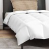 Couette avec oreiller 2 pcs Blanc 140 x 220 cm Bas 