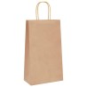 Sacs en papier 250 pcs avec poignées marron 21x11x36 cm 
