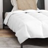Couette 2 pcs Blanc 135 x 200 cm Bas 