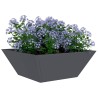 Ensemble de 5 jardinières de jardin en anthracite 40x40x15 cm en acier. 