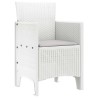 Chaises de jardin 2 pcs Blanc 53 x 49 x 85 cm Plastique 