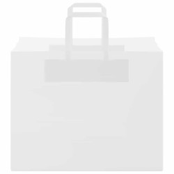 Sacs en papier 250 pcs avec poignées blanc 32x22x24 cm 