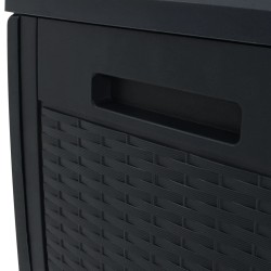 Boîte de stockage jardin Anthracite 119x48x60 cm Polypropylène 