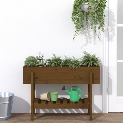 Lit surélevé de jardin marron miel 101x30x69 cm bois pin massif 