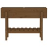 Lit surélevé de jardin marron miel 101x30x69 cm bois pin massif 