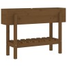 Lit surélevé de jardin marron miel 101x30x69 cm bois pin massif 