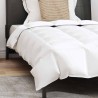 Couette avec oreiller 2 pcs Blanc 155 x 200 cm Bas 