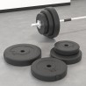 Plaques de poids 6 pcs 30 kg Béton 