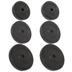 Plaques de poids 6 pcs 30 kg Béton 