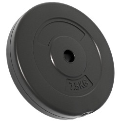 Plaques de poids 6 pcs 30 kg Béton 