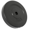 Plaques de poids 6 pcs 30 kg Béton 