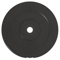 Plaques de poids 6 pcs 30 kg Béton 