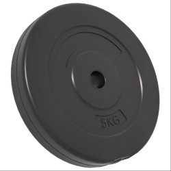 Plaques de poids 6 pcs 30 kg Béton 