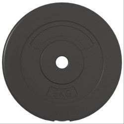 Plaques de poids 6 pcs 30 kg Béton 