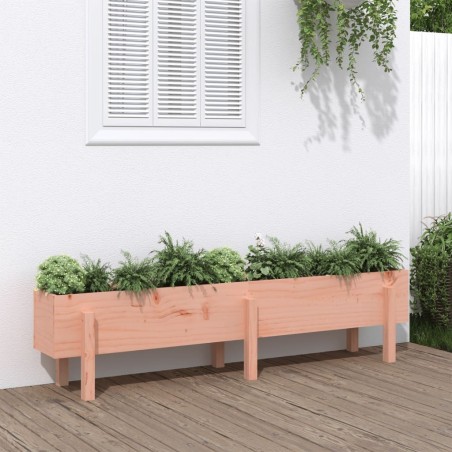 Lit surélevé de jardin 160x30x38 cm bois douglas massif  