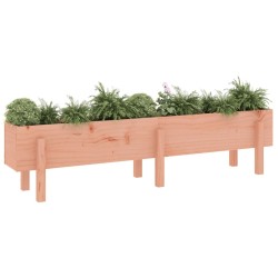 Lit surélevé de jardin 160x30x38 cm bois douglas massif  