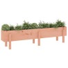 Lit surélevé de jardin 160x30x38 cm bois douglas massif  