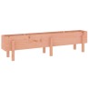 Lit surélevé de jardin 160x30x38 cm bois douglas massif  