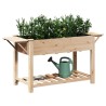 Jardinière avec étagères 155x59x76 cm en bois de pin massif 
