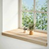 Appuis de fenêtre 2 pcs non traité 80x40x2 cm bois chêne massif 