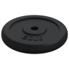 Plaque de poids 20 kg Fonte 