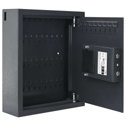 Coffre-fort à serrure à clavier Gris gunmetal Acier, Chrome Moyen 
