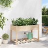 Jardinière avec étagère 115x59x76 cm en bois massif de sapin 
