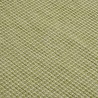 Tapis à tissage plat d'extérieur 80x250 cm Vert 