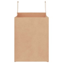 Sacs en papier 250 pcs avec poignées marron 32x22x28 cm 