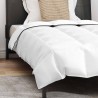 Couette avec oreiller 2 pcs Blanc 155 x 200 cm Bas 