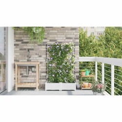 Pots de jardin Treillis avec stockage Blanc 80 x 40 x 126 cm Plastique 