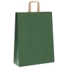 Sacs en papier 250 pcs avec poignées vert 32x12x42 cm 