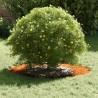 Planteur en acier corten Acier corten 70 cm de diamètre Durable 