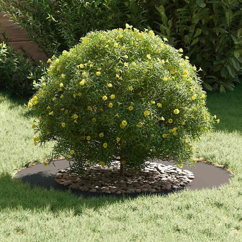 Pot en plastique Noir Plastique Grand Décorations Grand pot 