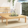 Table de jardin 100x60x30 cm bois d'acacia solide 