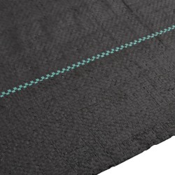 Membrane anti-mauvaises herbes noir 4x10 m PP 
