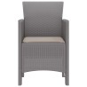 Chaises de Jardin 2 pcs Gris clair 53 x 49 x 85 cm Plastique 