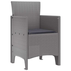 Chaises de jardin avec coussins 2 pcs Gris clair 