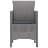 Chaises de jardin avec coussins 2 pcs Gris clair 