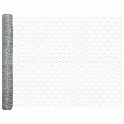 Clôture Hexagonale 1x10 m Acier Galvanisé 